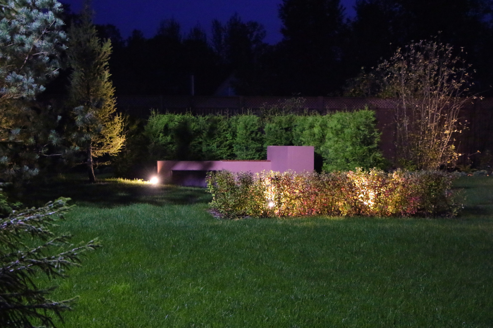 Петровское, ночной сад, 2018-2020 гг.