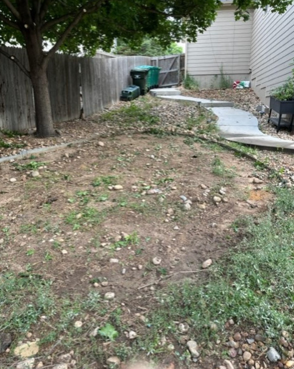 Creating Curb Appeal