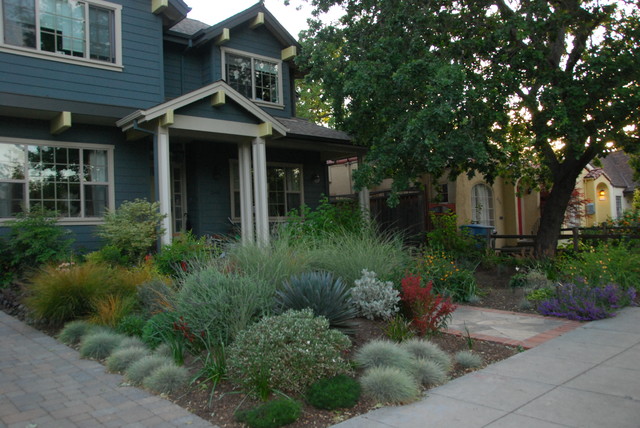 The front yard was sculpted into berms and swales for vertical interest