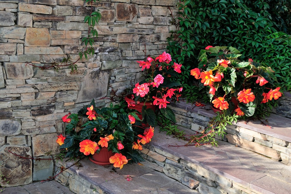 Ландшафтный проект