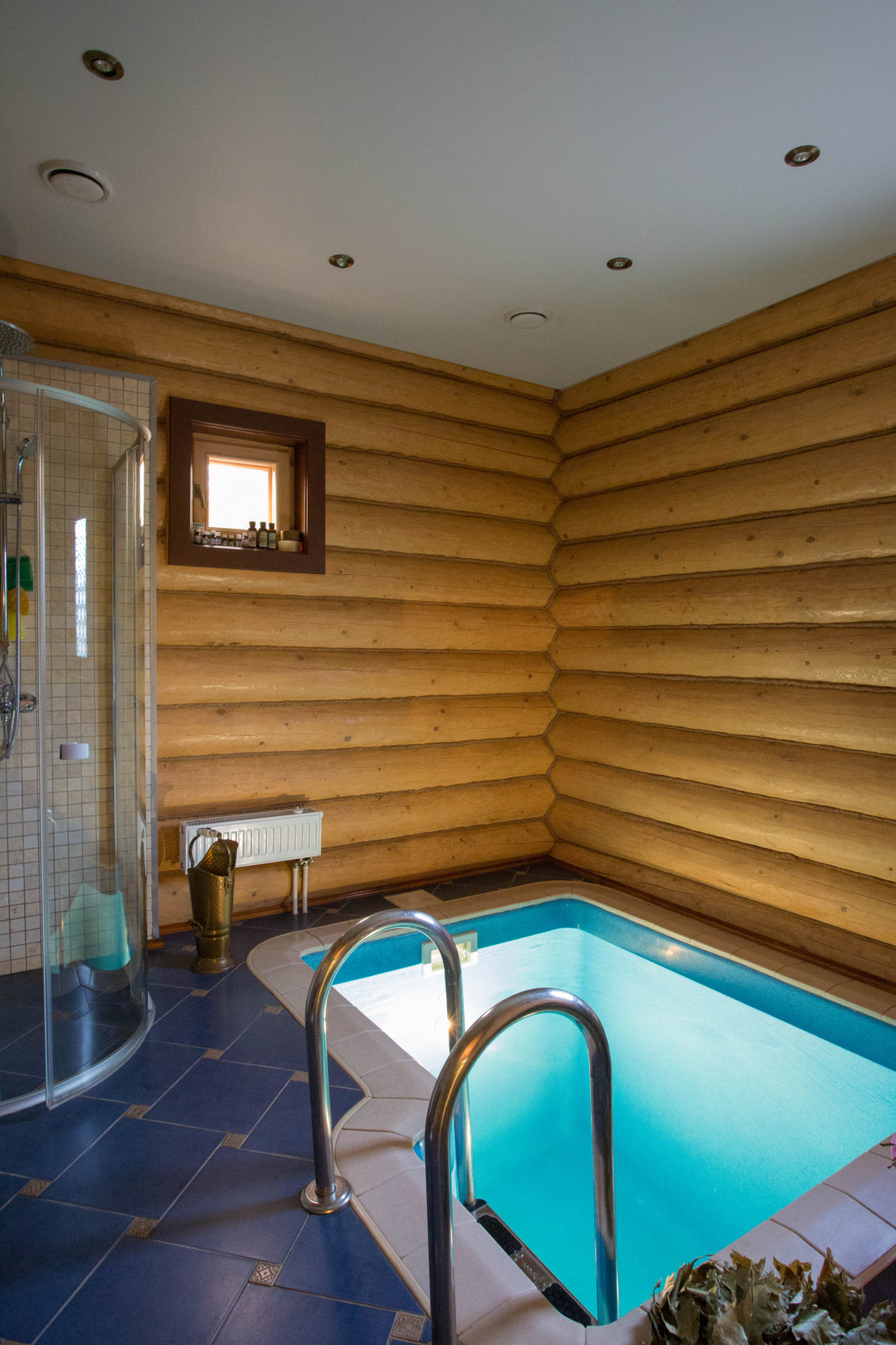 Из дальних странствий возвратясь...