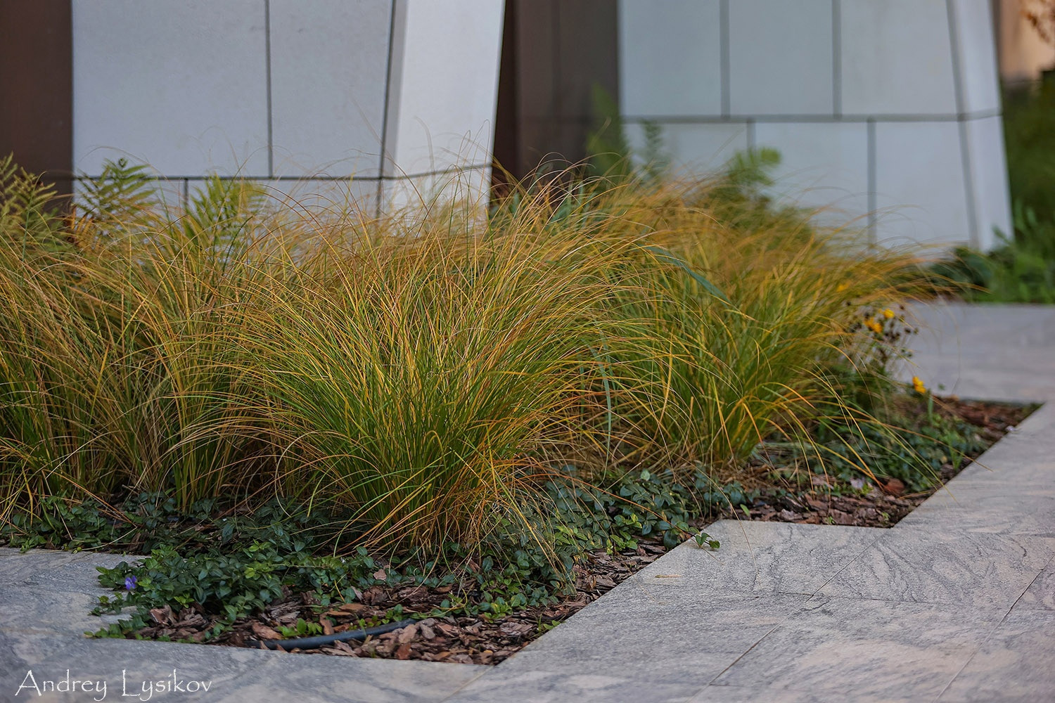 Фотосессия пространства клубных домов ORDYNKA (компания INSIGMA)