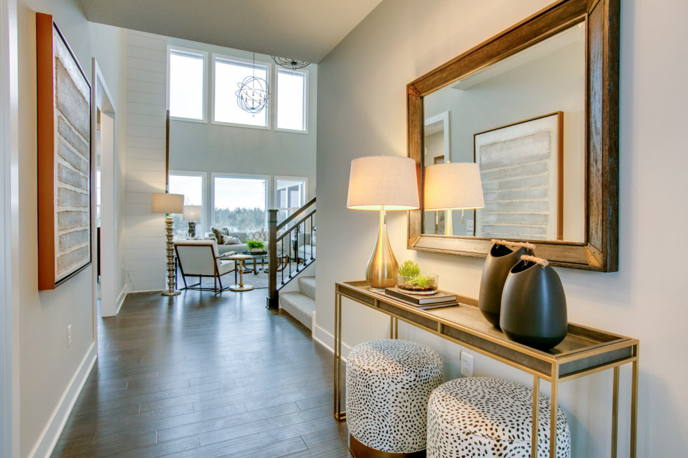 Example of a transitional entryway design in Minneapolis