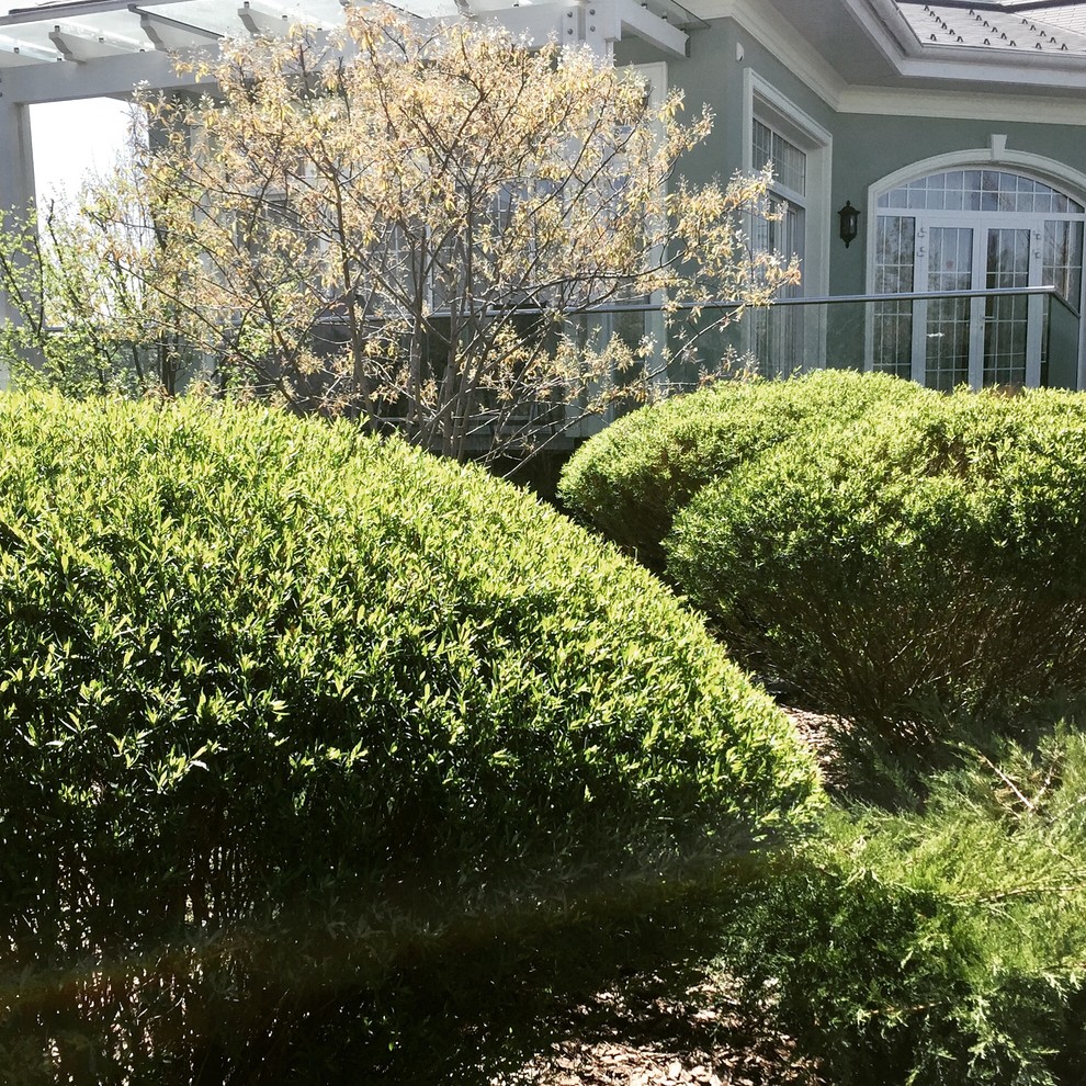 Холодное лето 2017 (сад "Игра в лабиринт")