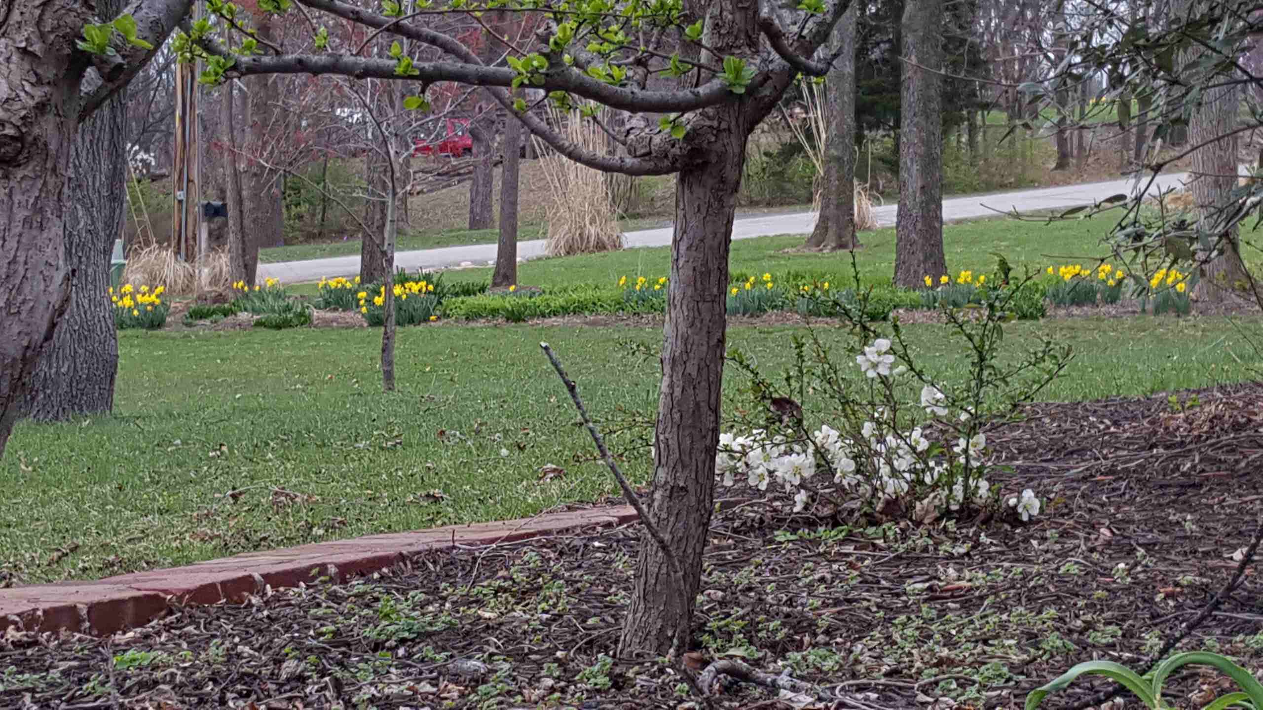 Spring Gardens $