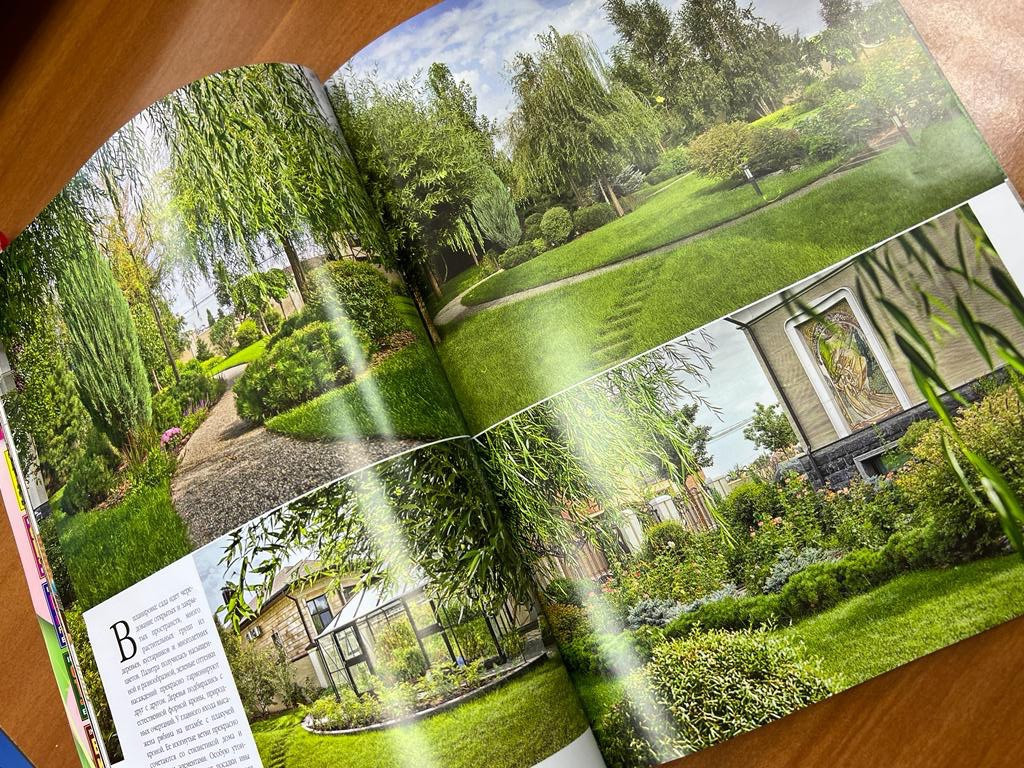 Публикации в прессе