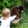 Last commented by Helen Bielby