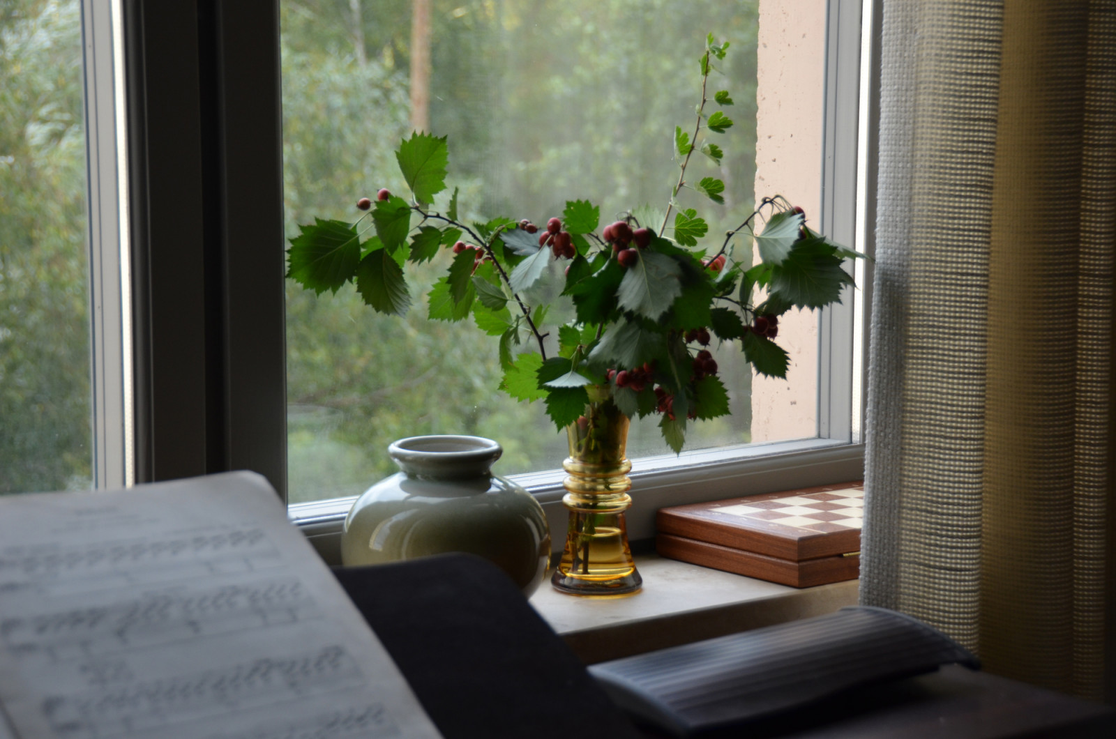 Квартира в ЖК Северный парк