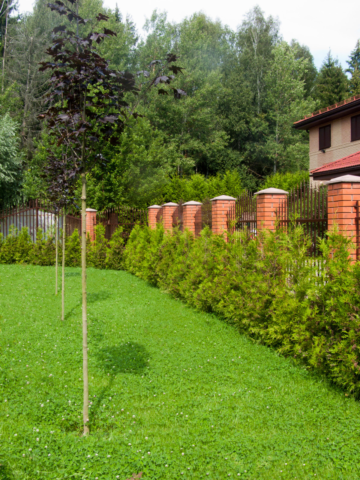 Быстрый ручей