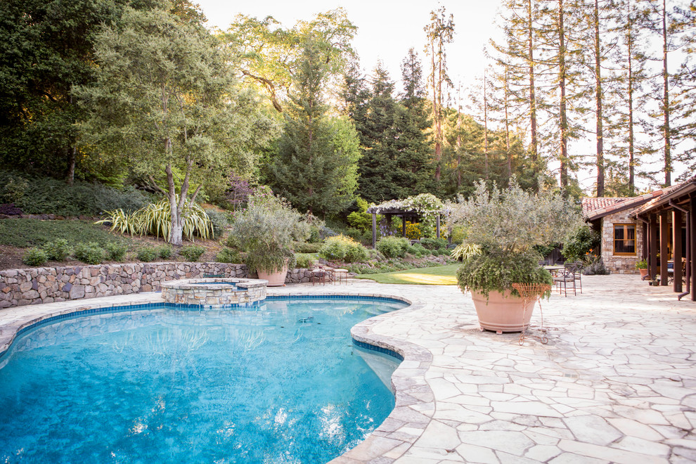 Idee per una grande piscina stile rurale personalizzata dietro casa con paesaggistica bordo piscina e pavimentazioni in pietra naturale