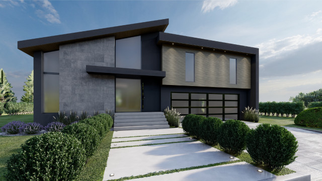 Development in Needham rendering