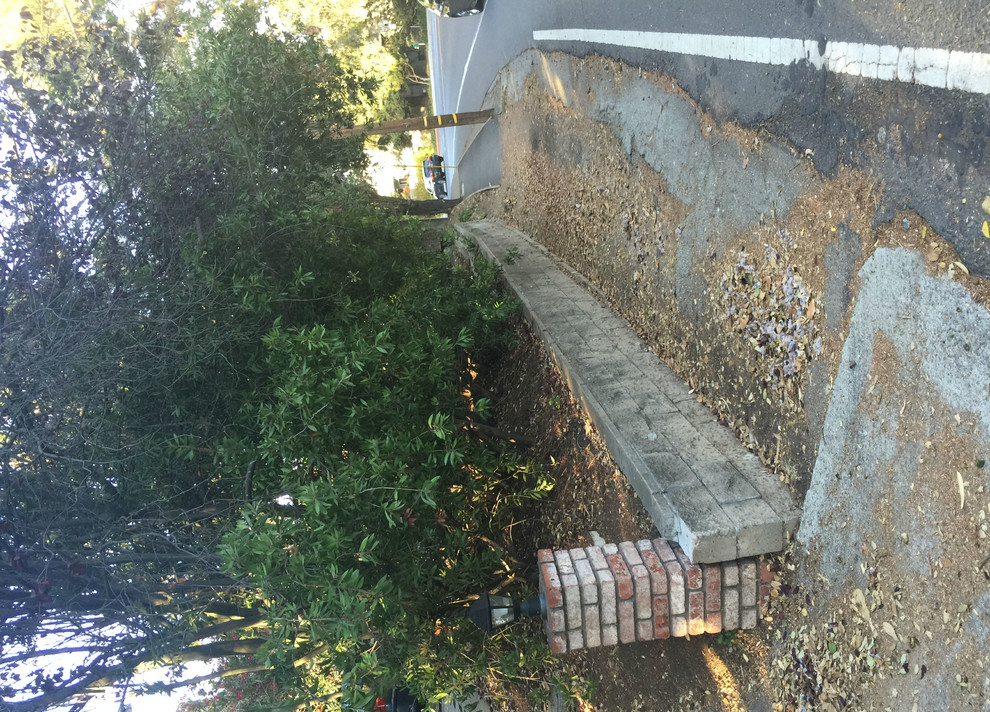 Ideas to hide retaining wall