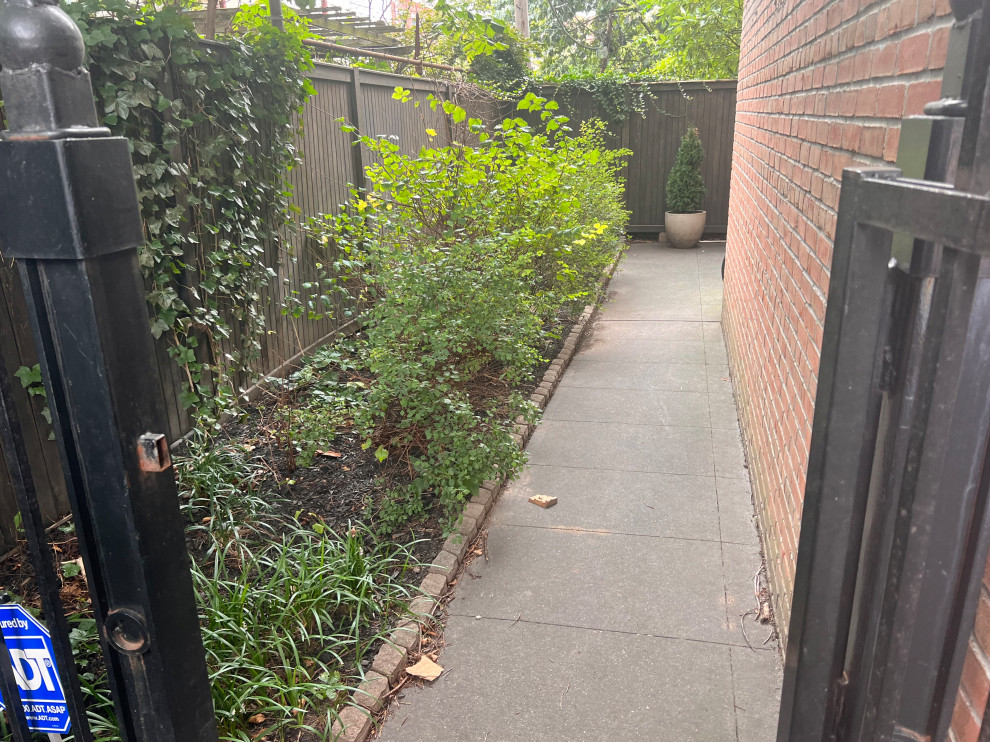 Brooklyn Degraw backyard