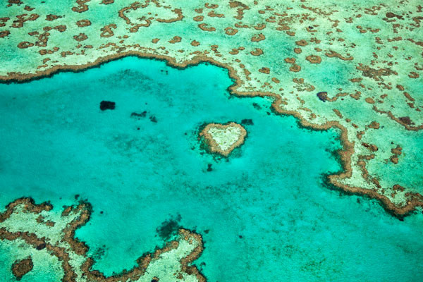 Fine Art Photograph, Great Barrier Reef IV, Fine Art Paper Giclee