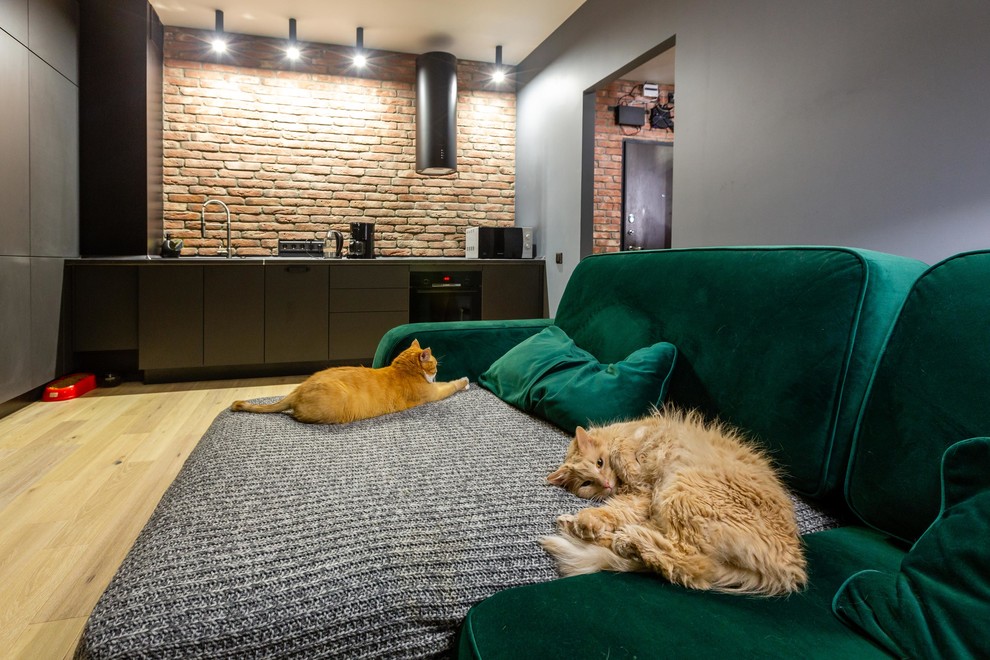 дизайн-проект кухни-гостиной