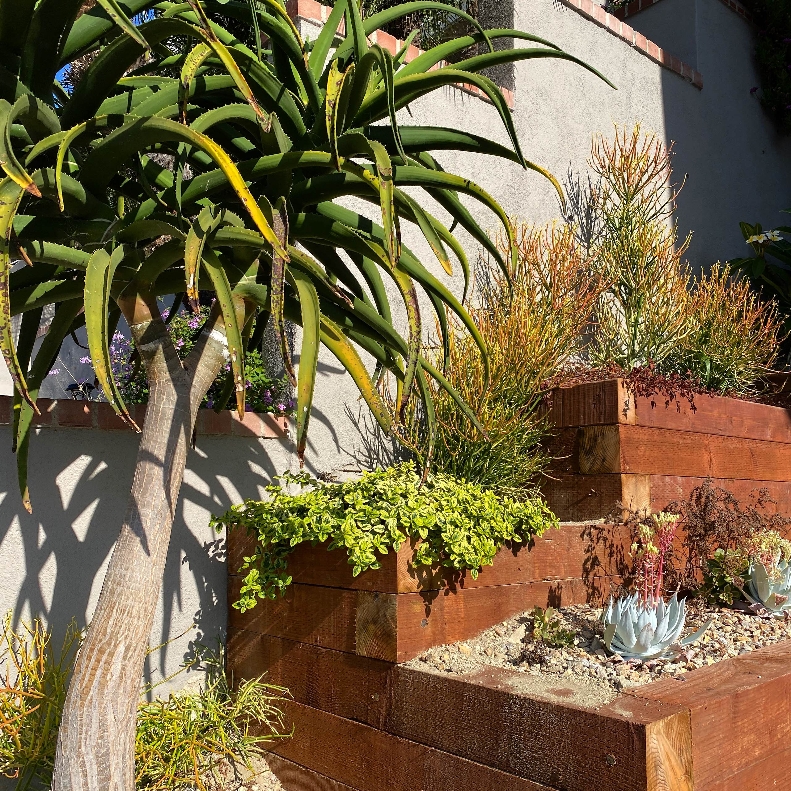 San Pedro, CA: Palm Springs Mid-Mod by the Beach