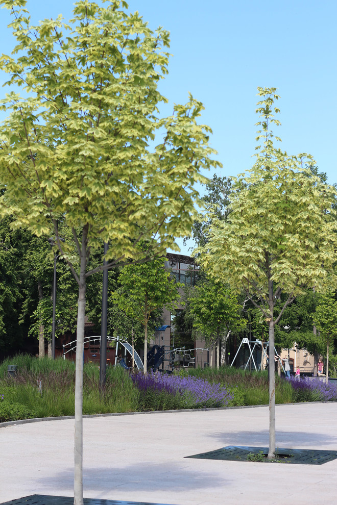 Цветники Советской площади