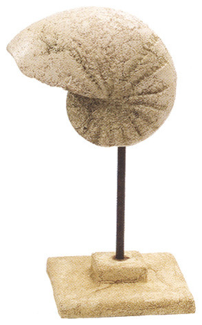 Stone Cast Nautilus Shell on Stand