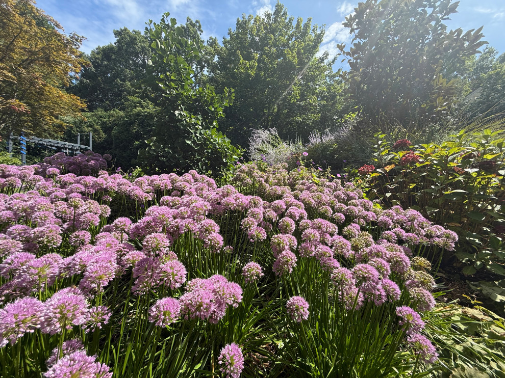 Planting Design
