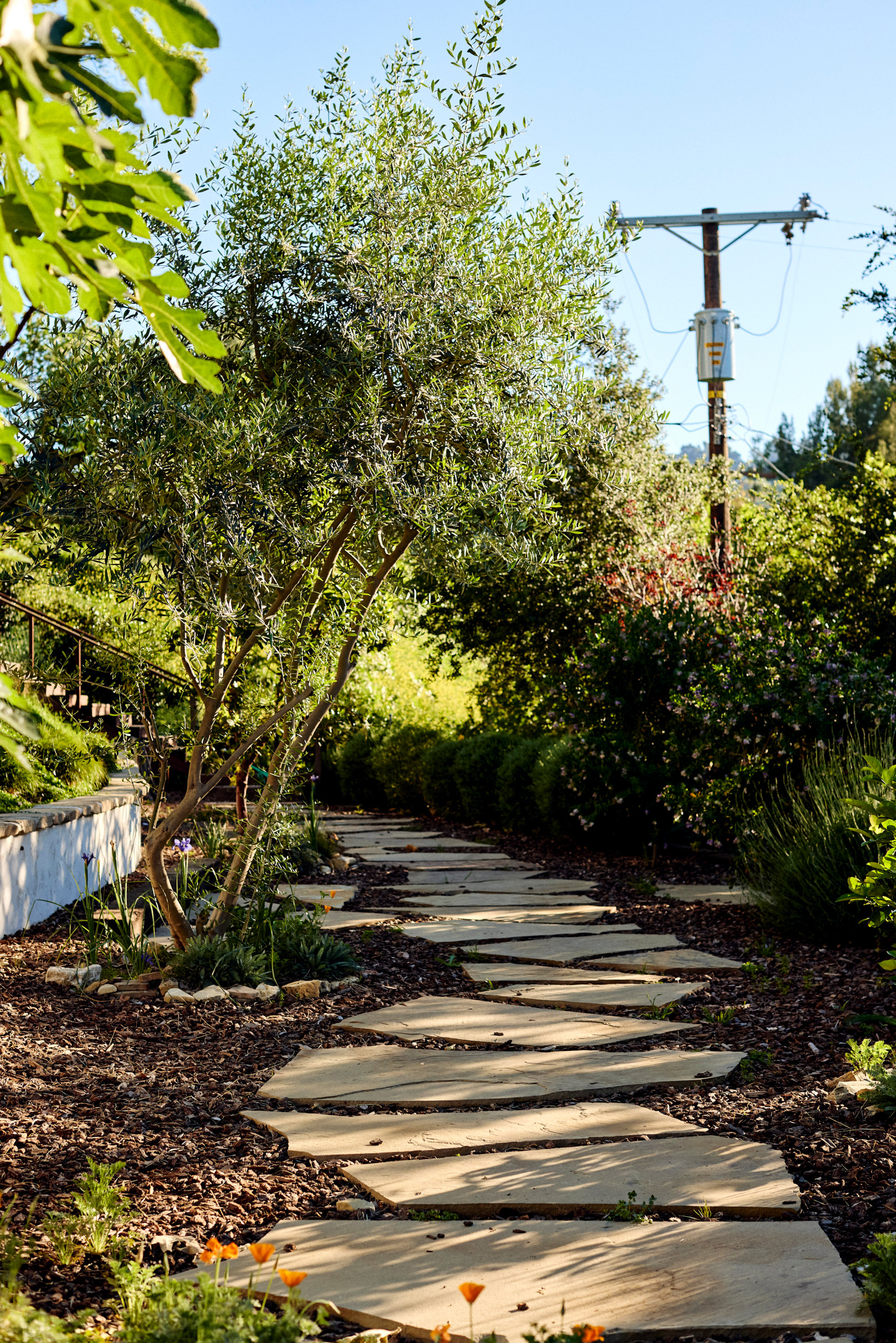 Blairwood Drive