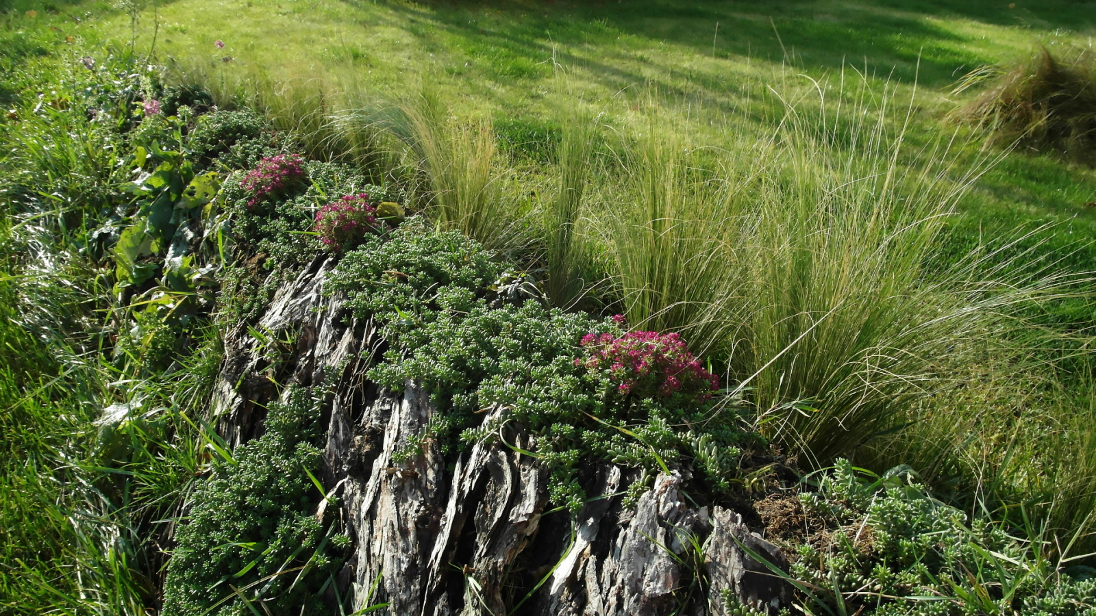 Геопластика