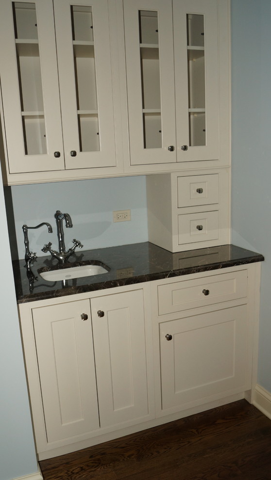 Transitional home design photo in Chicago