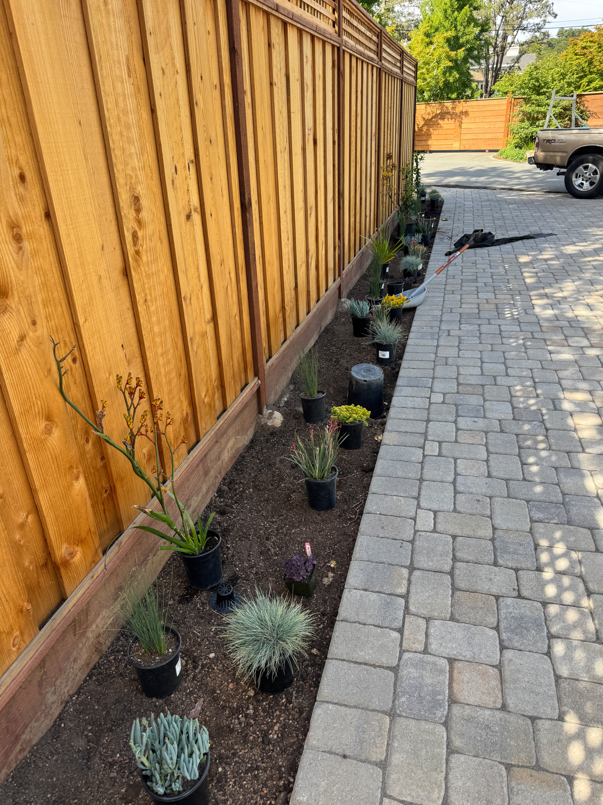 Cottage-Style Garden