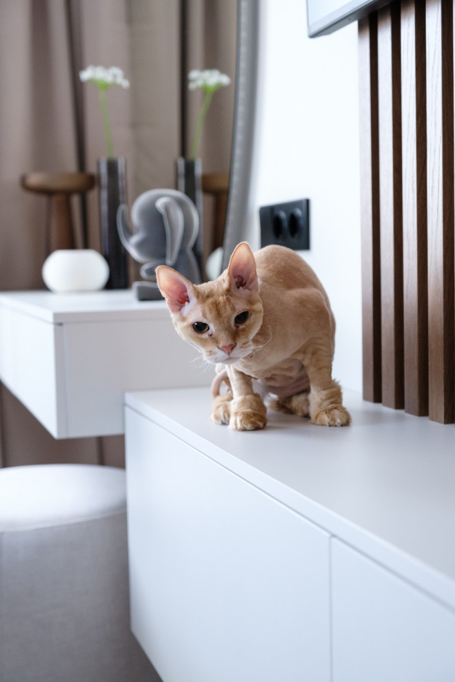 дом в п. Европейский 80м2