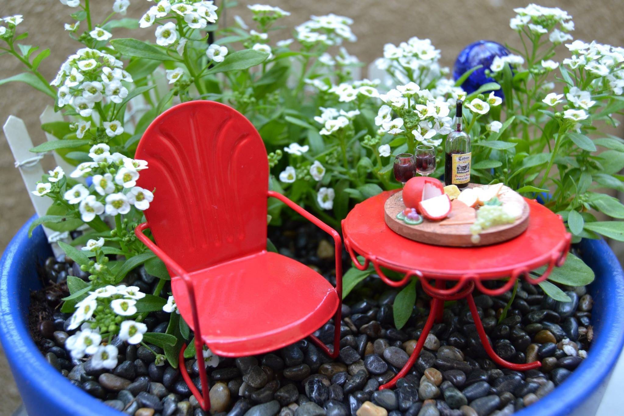 Making a miniature garden new arrivals