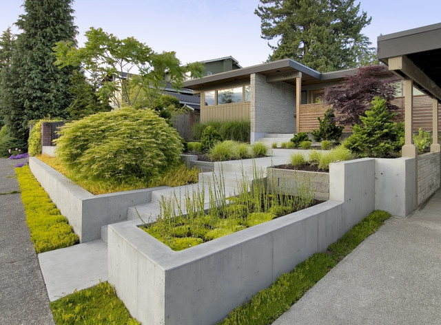 Image of Concrete wall planters outdoor