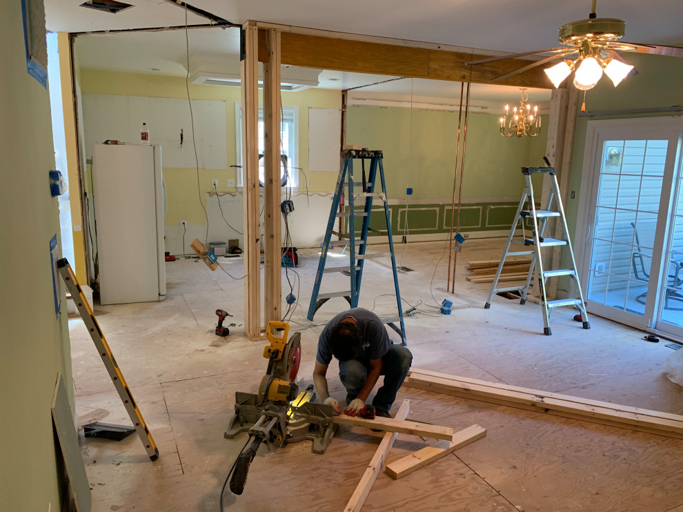 Arlington whole house remodel