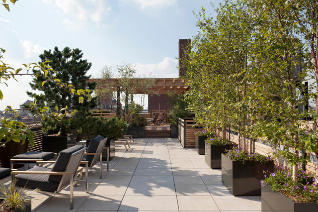 Rooftop Terrace contemporaneo-terraza-y-balcon