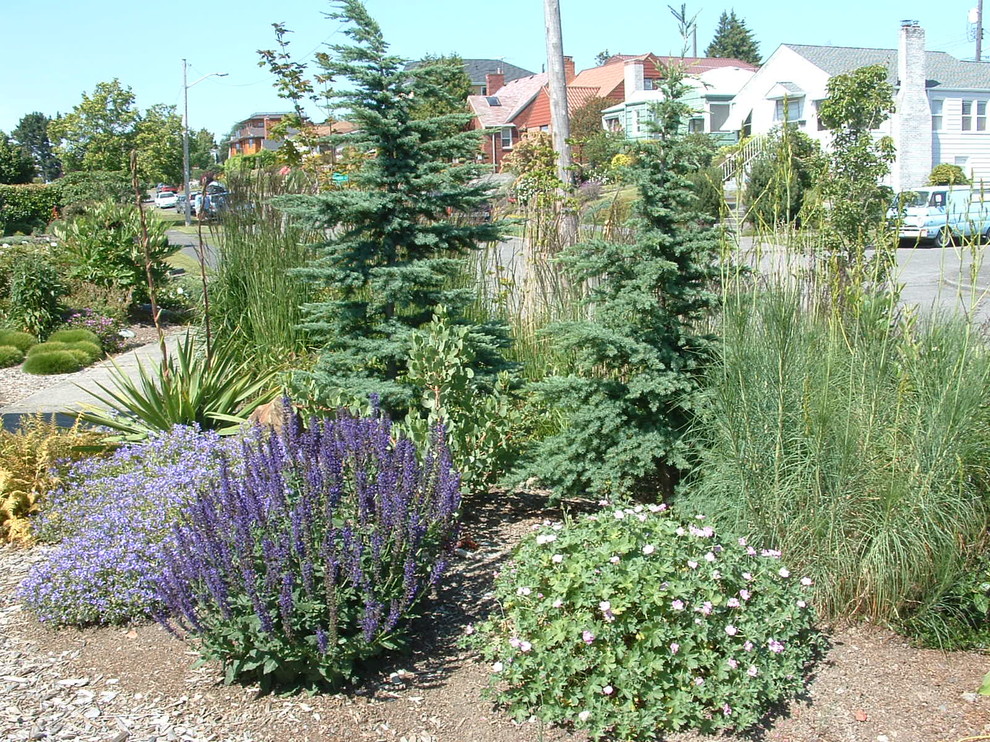 This is an example of a mid-sized contemporary front yard full sun xeriscape for winter in Seattle with a garden path and mulch.