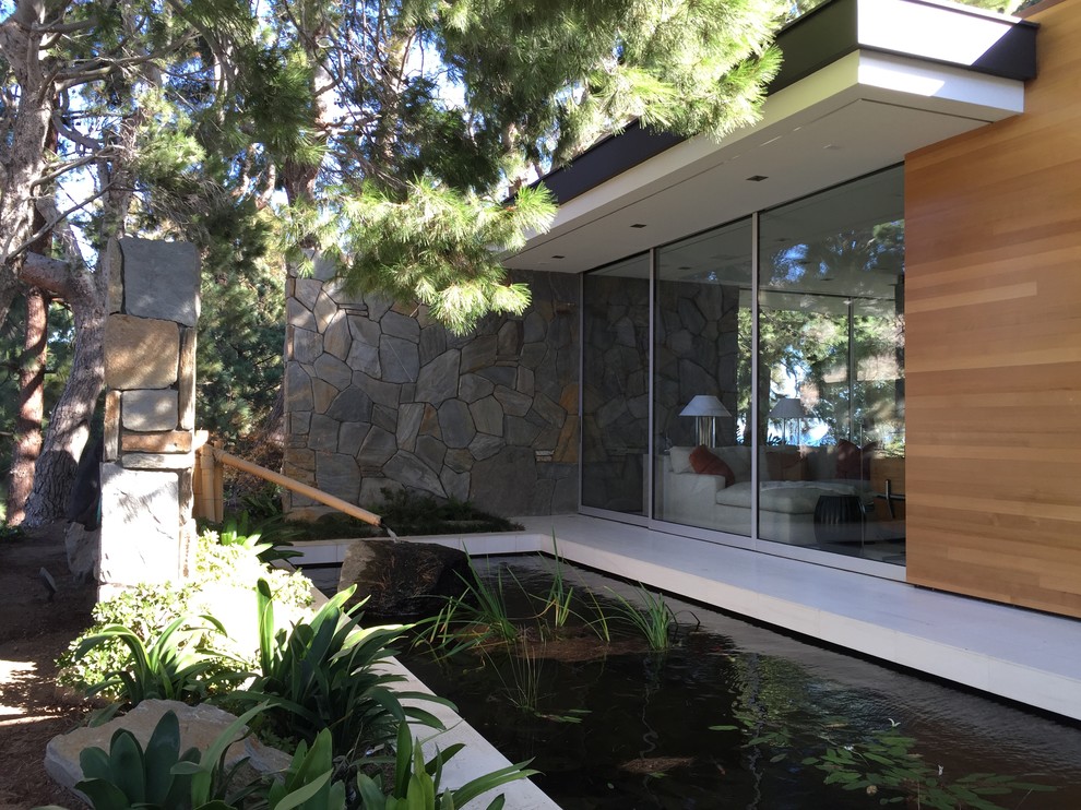Photo of a mid-sized midcentury side yard shaded garden in Los Angeles with a water feature and concrete pavers.