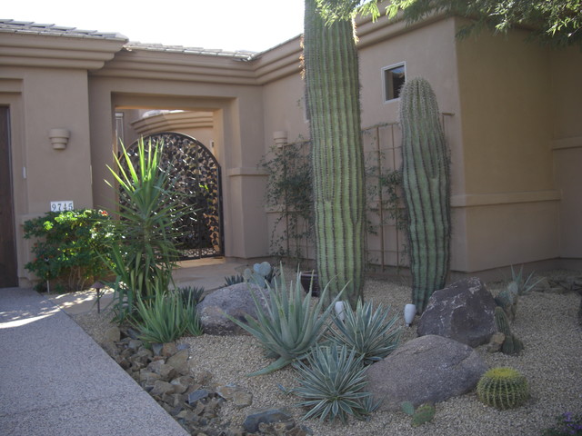 Desert Landscaping -