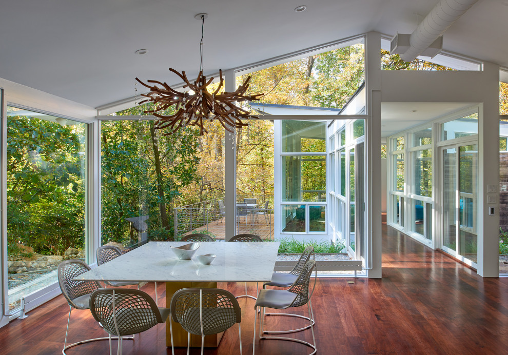 This is an example of an expansive contemporary dining room in Other with dark hardwood floors, brown floor and white walls.