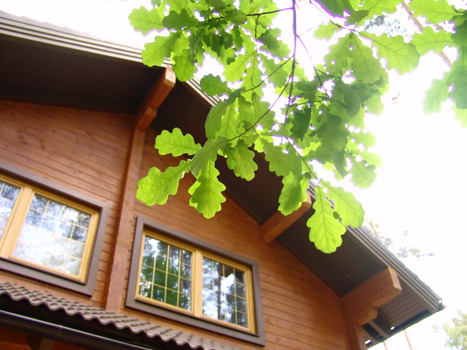 Деревянные окна в домах из клееного бруса