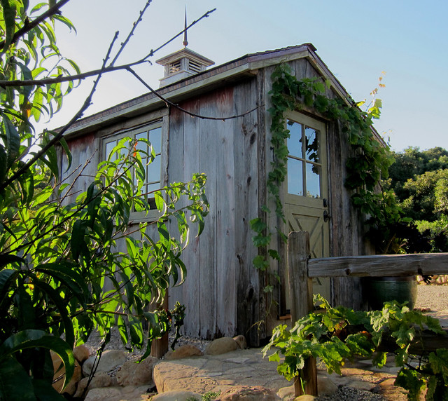 Salt Box Shed with Dutch Door and Cupola - Farmhouse ...