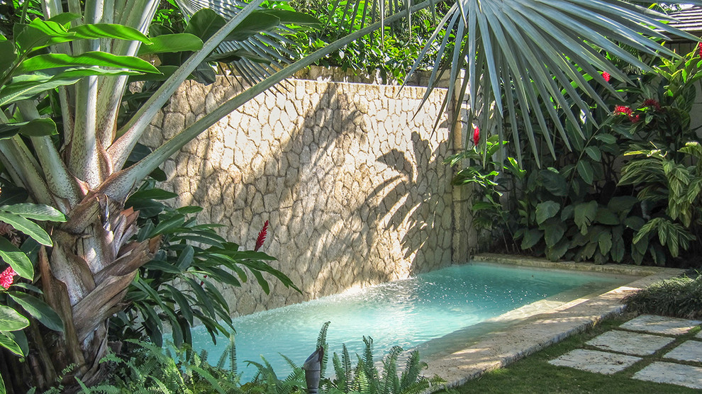 Inspiration for an expansive tropical full sun garden in Miami.