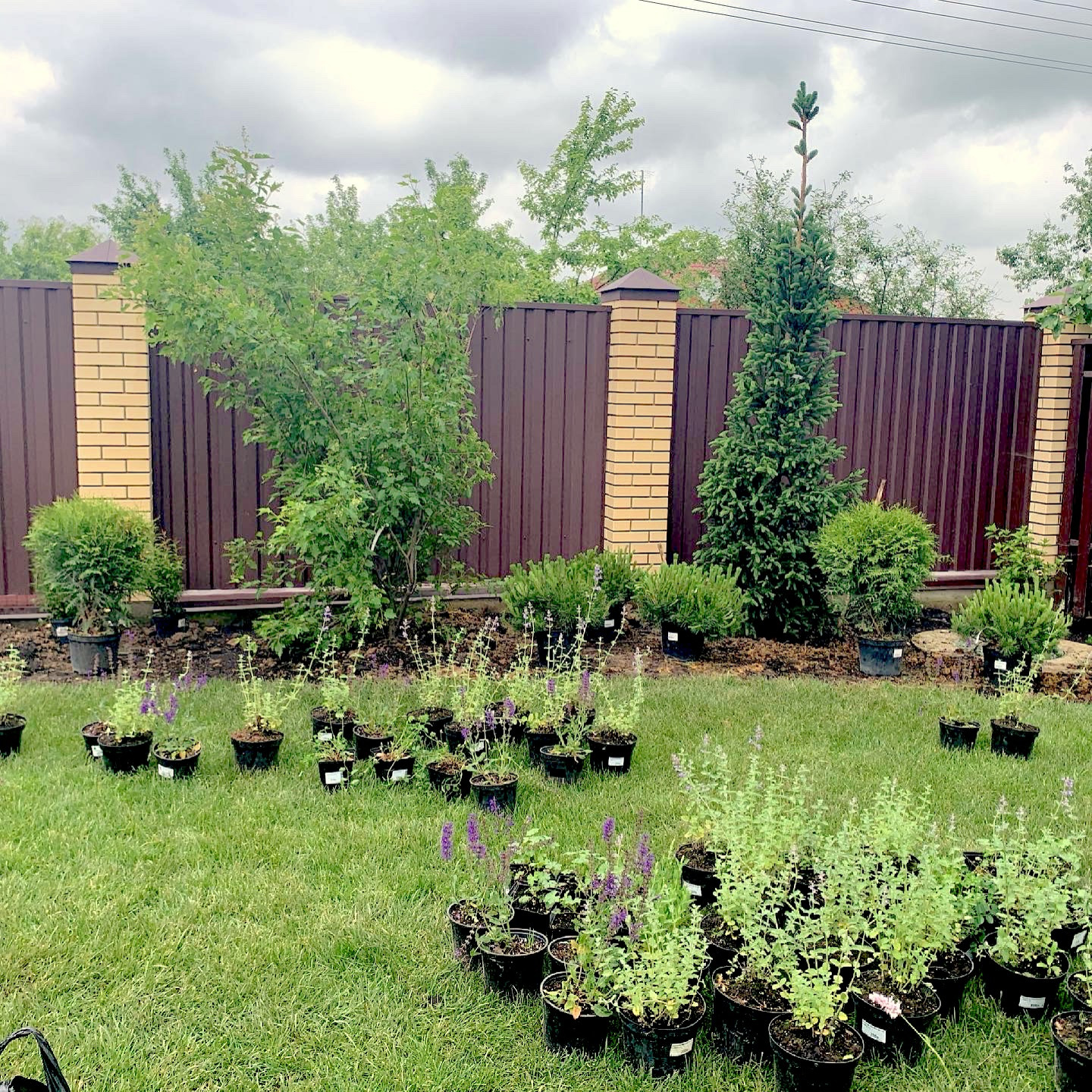 Сад Светлый Красная Пахра