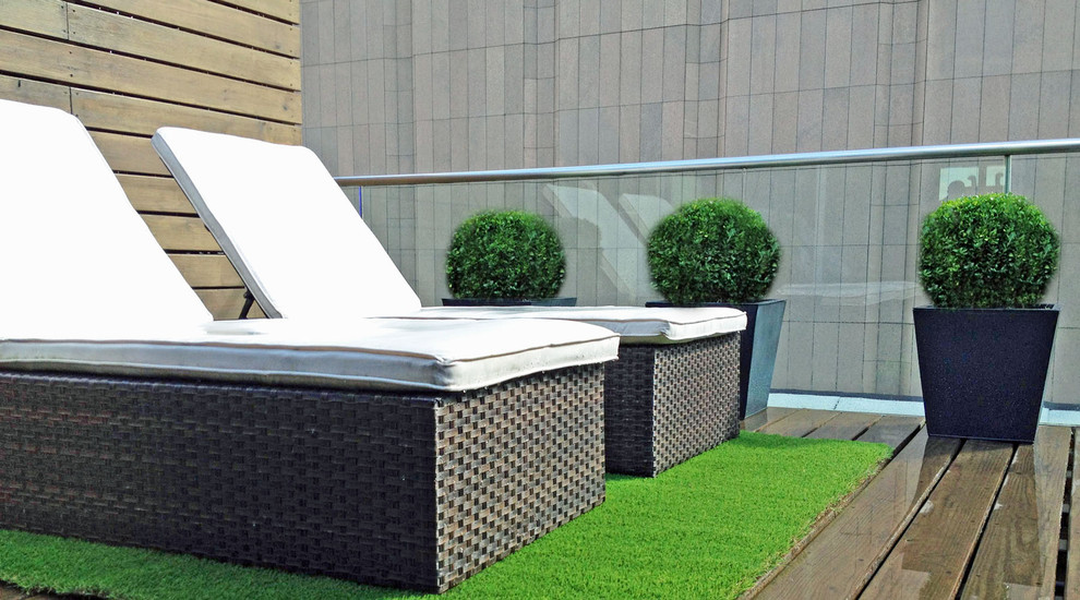 Inspiration for a contemporary rooftop and rooftop deck in New York with a container garden.