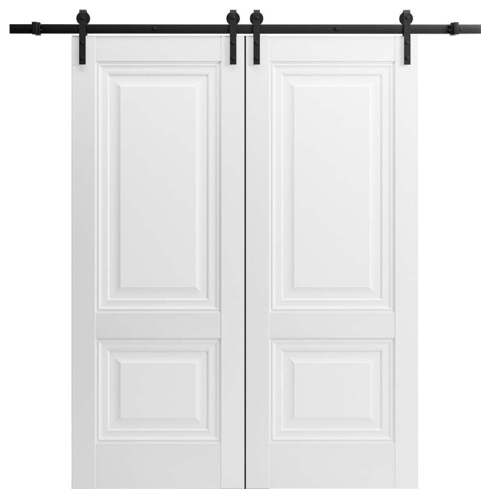 Double Barn Door And Lucia 8831 White Silk 13 36x80 2 18x80 Transitional Interior 