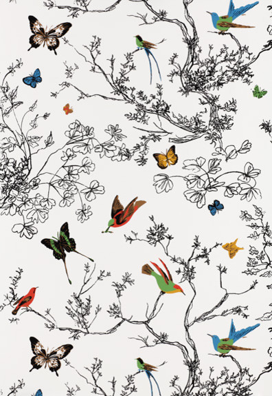 Birds & Butterflies, Multi on White