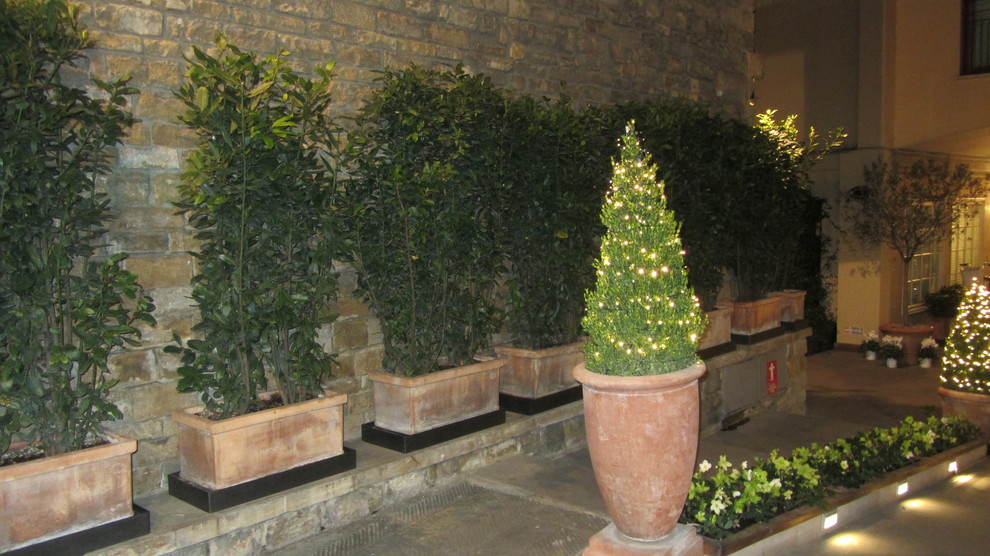 Городское озеленение