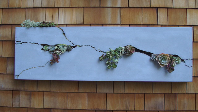 Concrete Wall Planter Modern Garden San Francisco By 5 Feet From The Moon Houzz Uk
