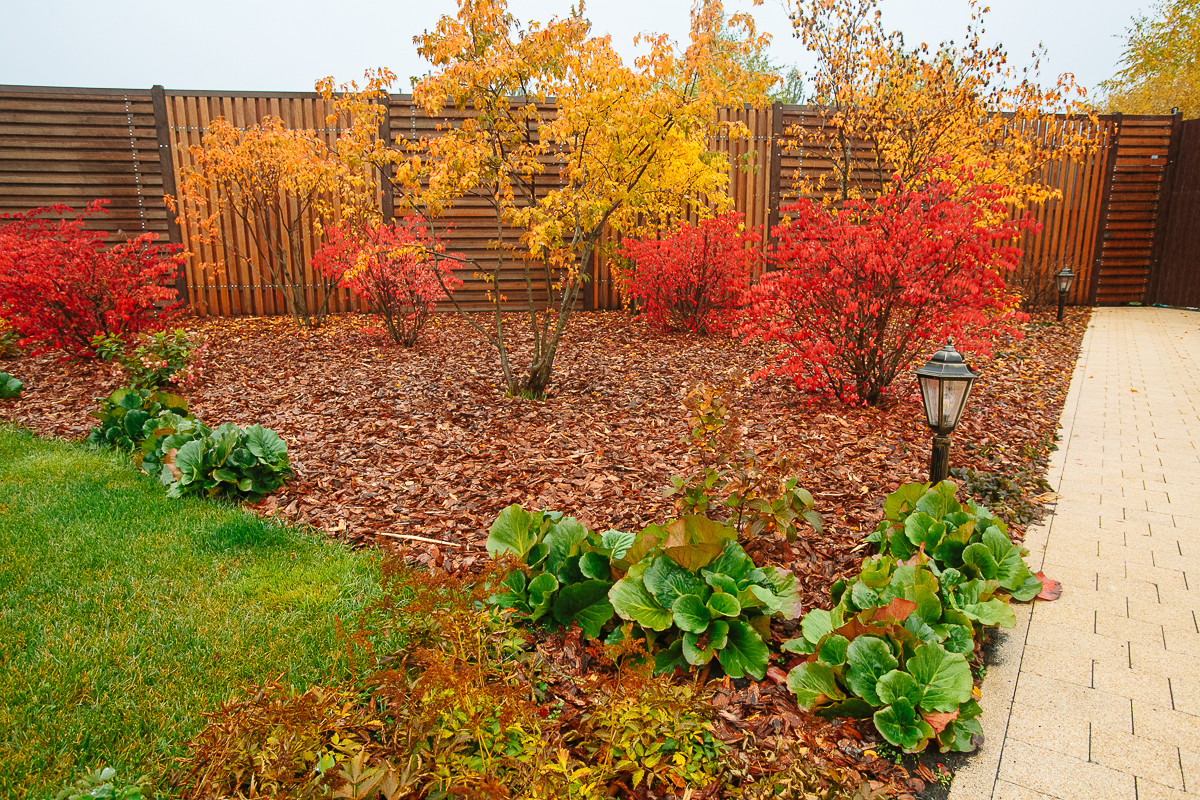 Сад с румянцем