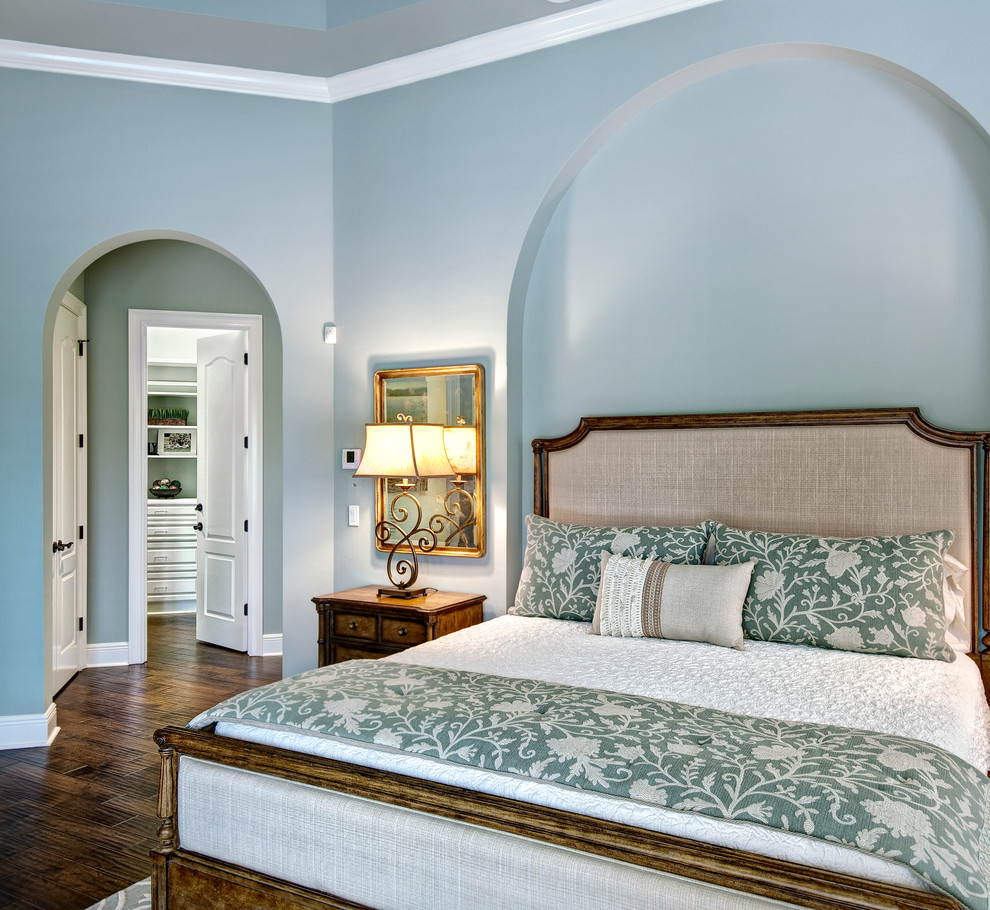 Inspiration for a traditional master bedroom in Tampa with blue walls and dark hardwood floors.