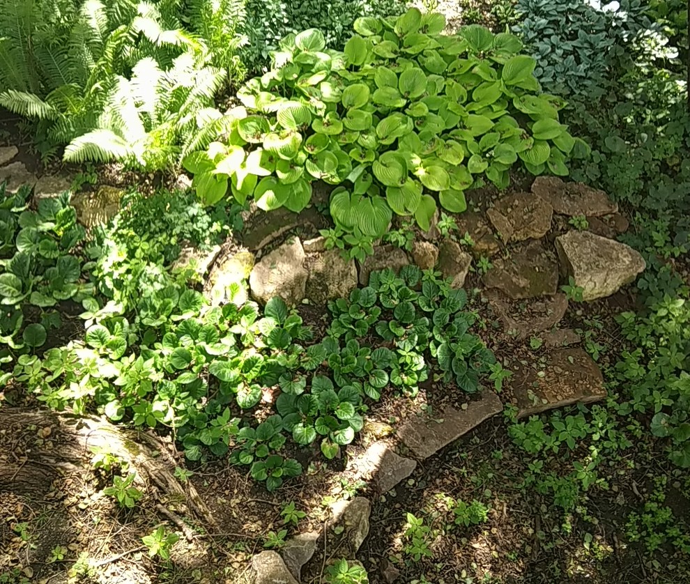 Valley of springs Долина родников