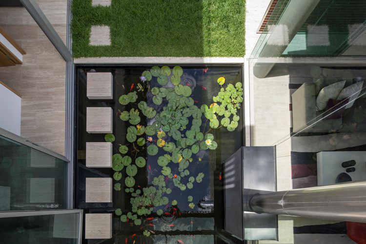 This is an example of a contemporary courtyard partial sun garden in Sydney with a water feature.