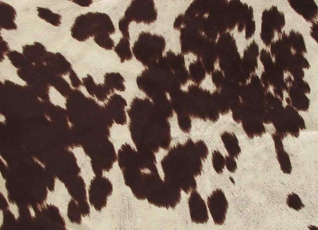 Brown and White Faux Cowhide Fabric